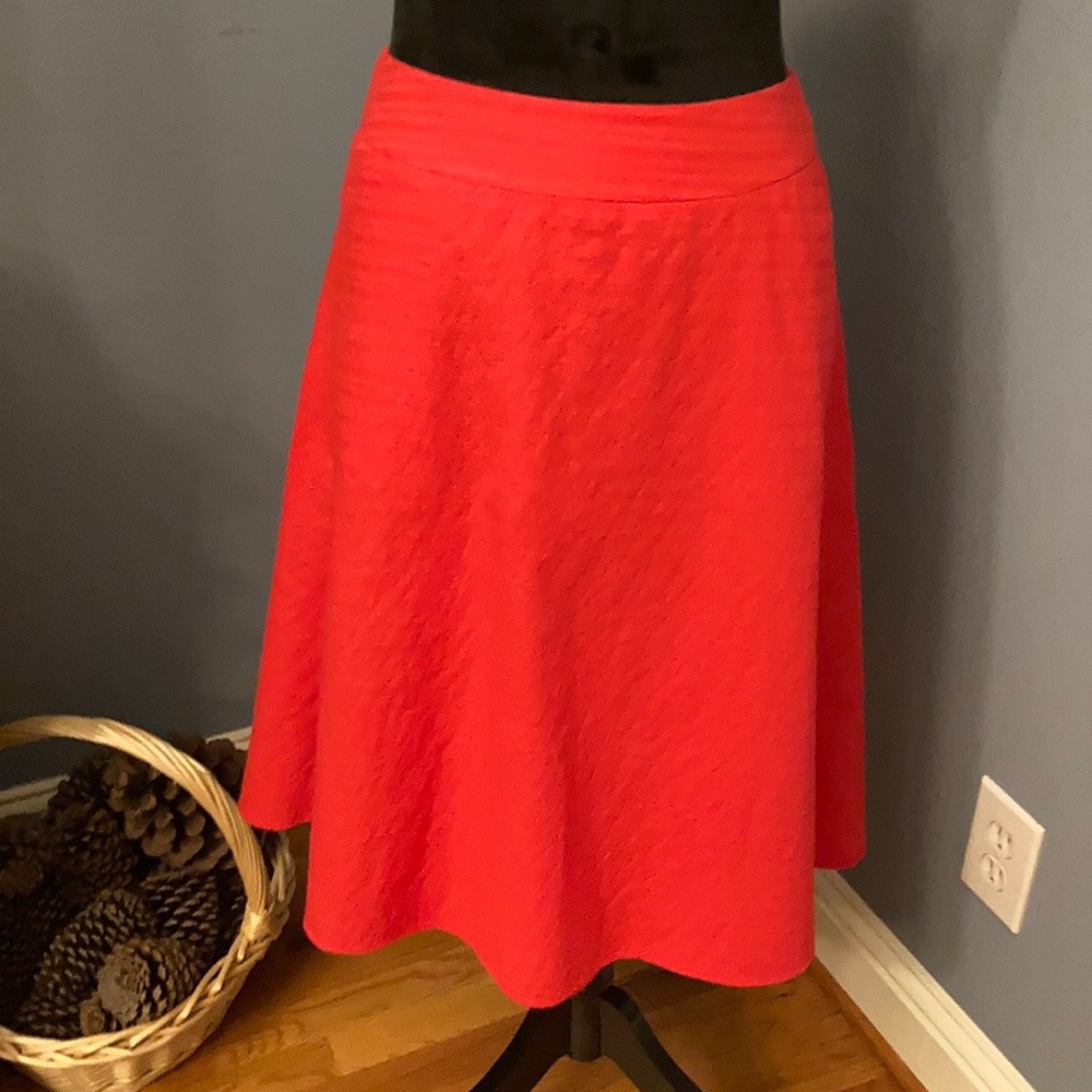 NWOT Ann Taylor Skirt.